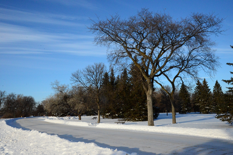 DSC_0002.JPG