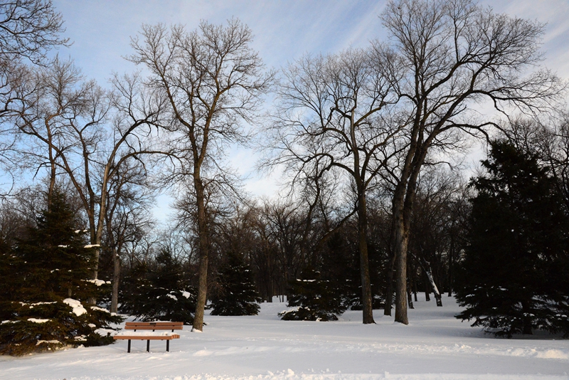 DSC_0043.JPG