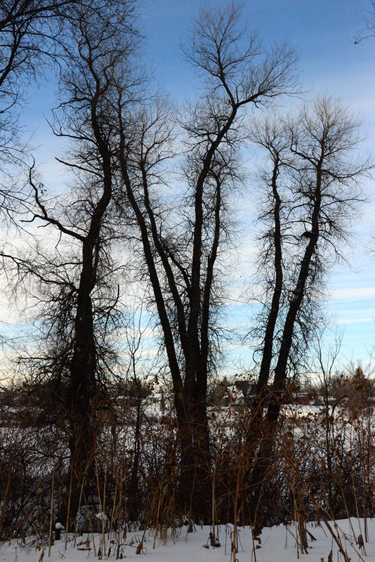 DSC_0054.JPG