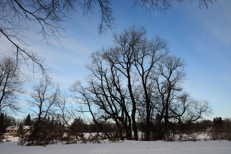 DSC_0073.JPG