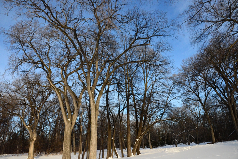 DSC_0026.JPG
