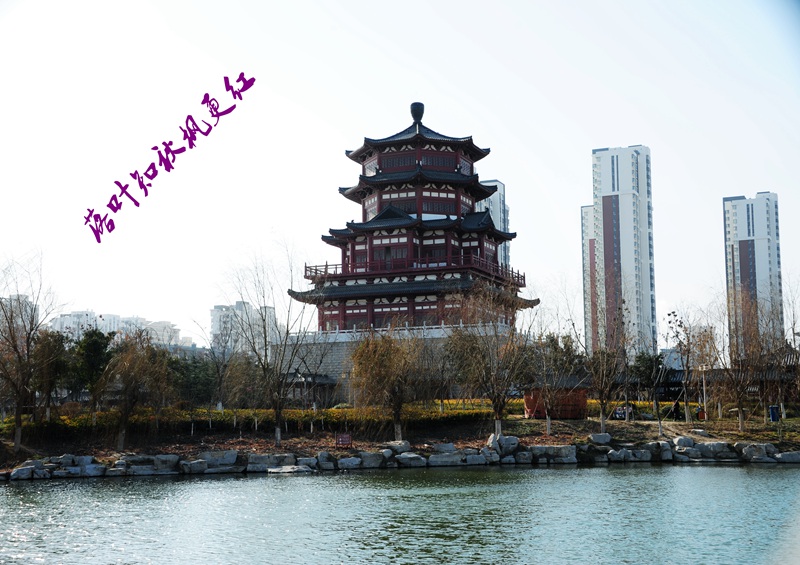南池掠影