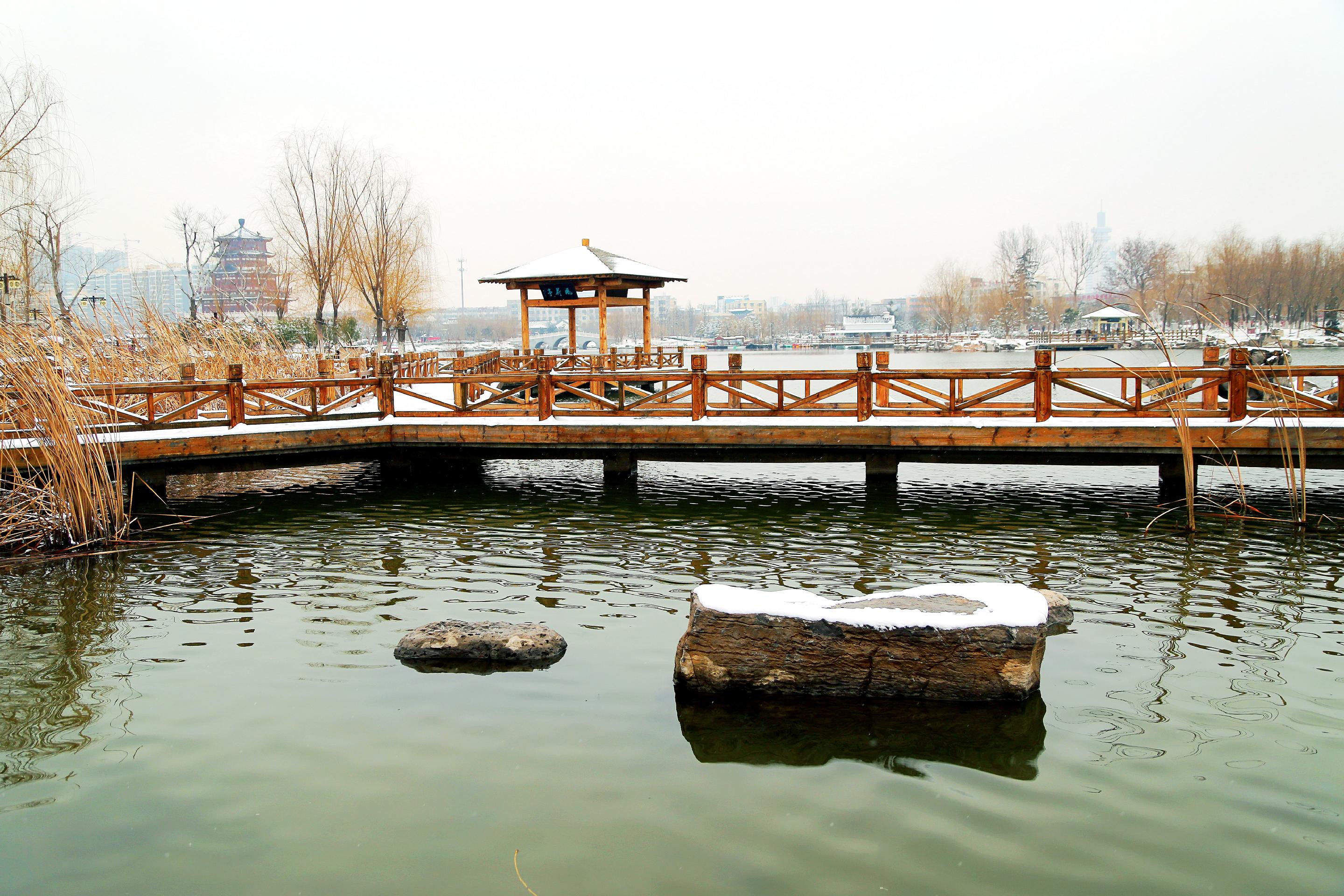 南池雪景2.JPG