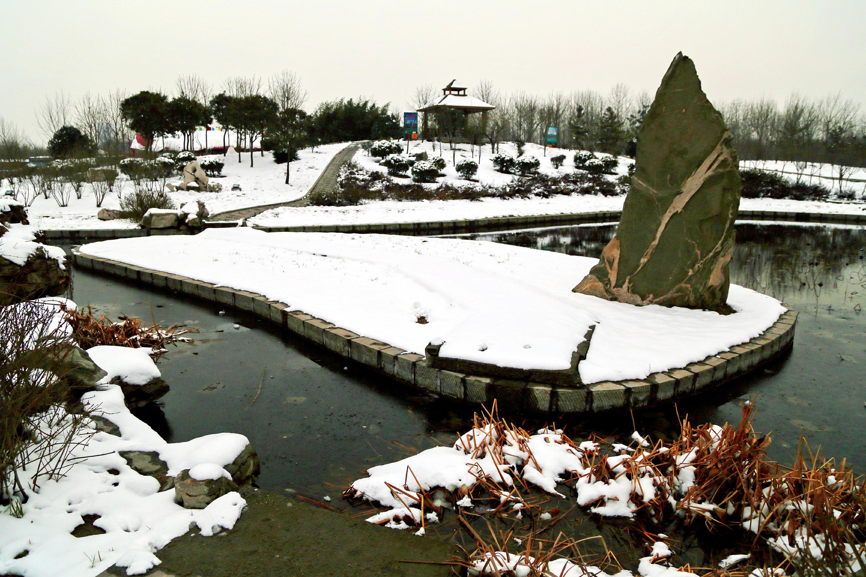 植物园小景4.jpg