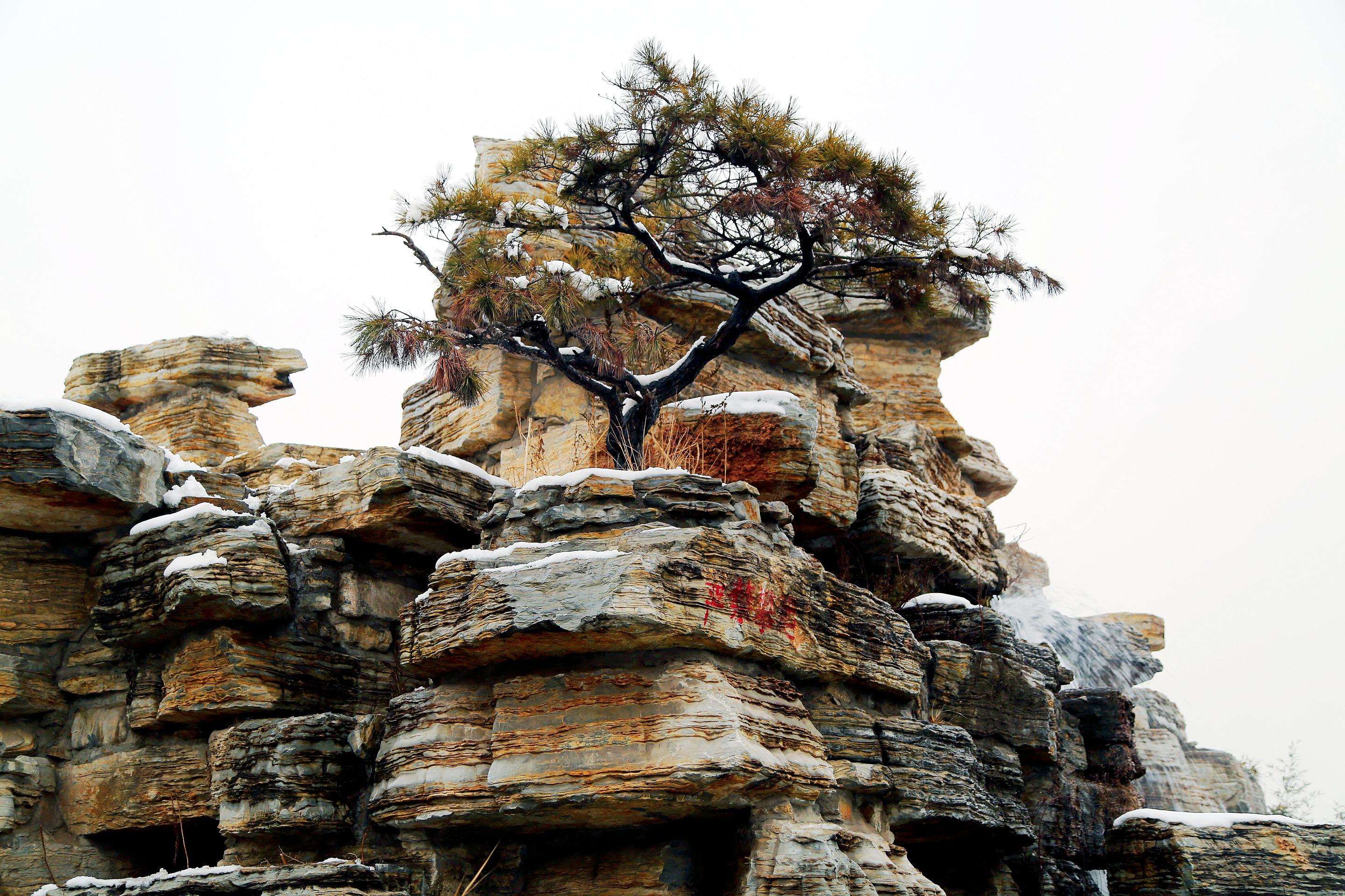 植物园小景3.jpg