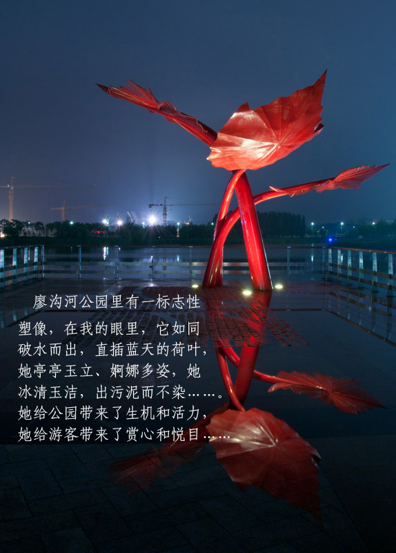廖沟河的荷