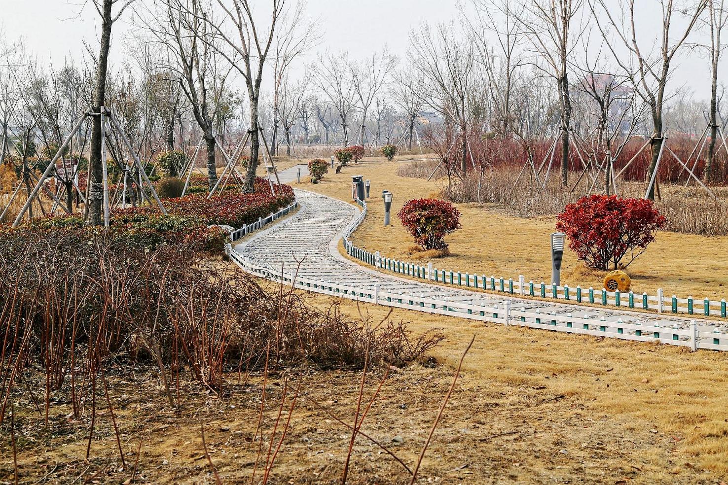 公园小路1.jpg