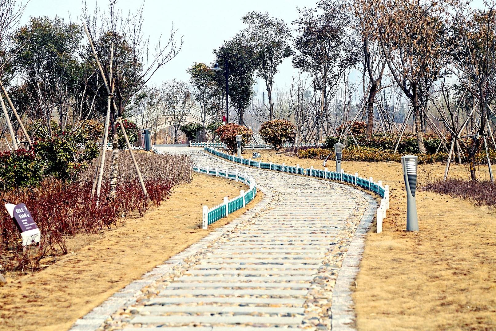 公园小路3.jpg