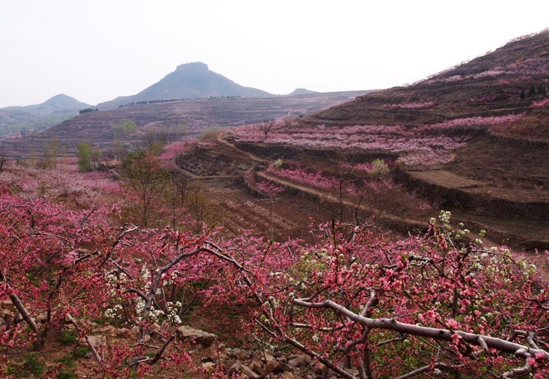 岱崮地质公园掠影（3）