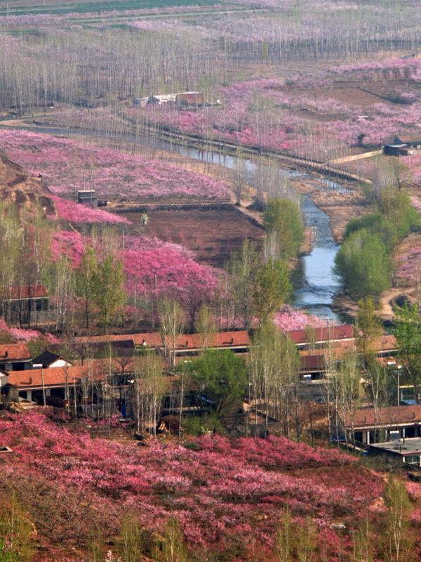 岱崮地质公园掠影（4）