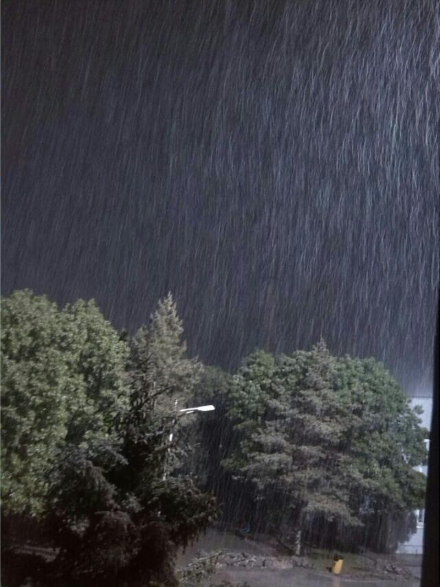 狂风暴雨。。。让人感受到的不仅仅是自然的力量。。。更是生命的展示。。。