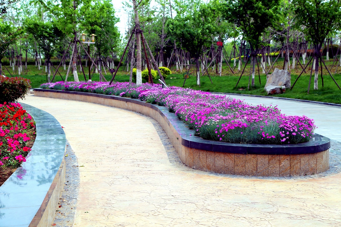 南池春花2.jpg