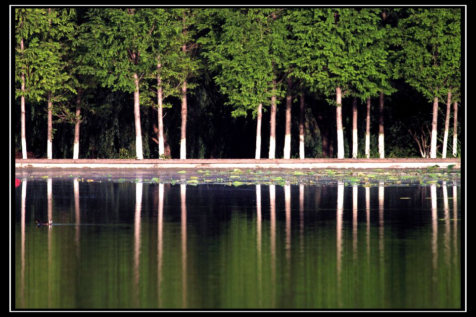 【济宁小景】