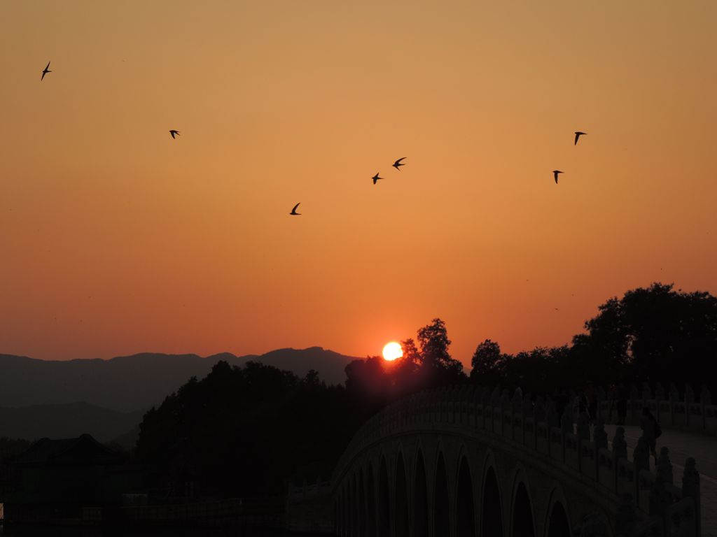 燕舞夕阳