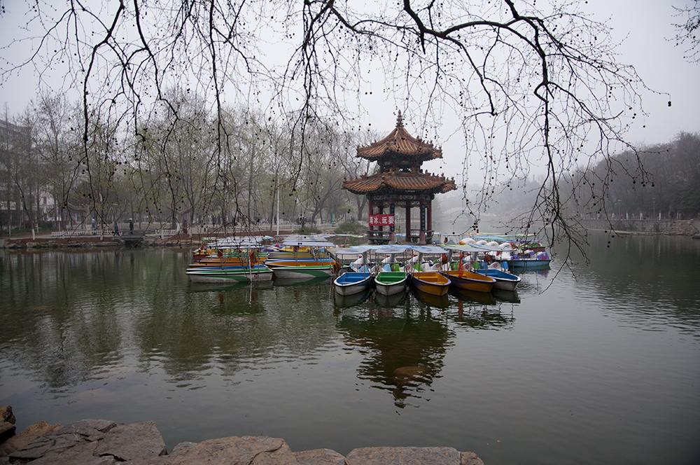 雾中的济宁公园