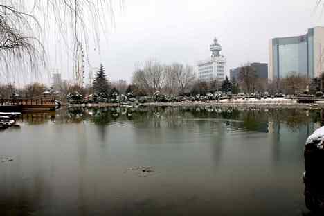 迟来的第一场雪