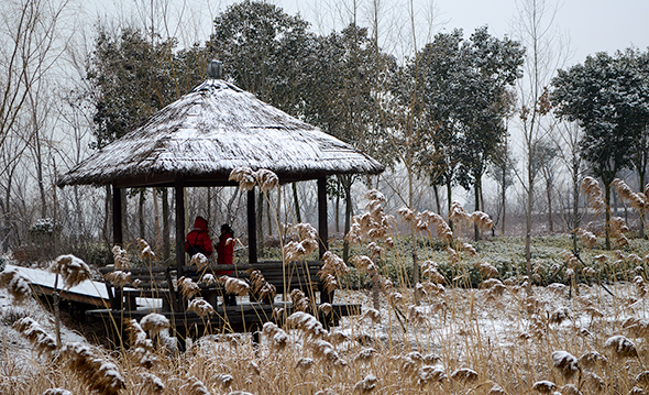 雪中情
