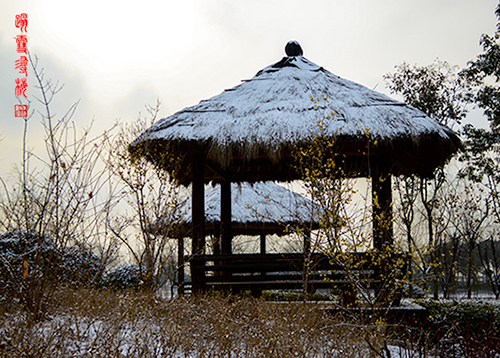 踏雪寻梅