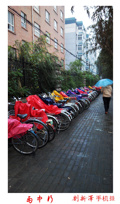 雨中行