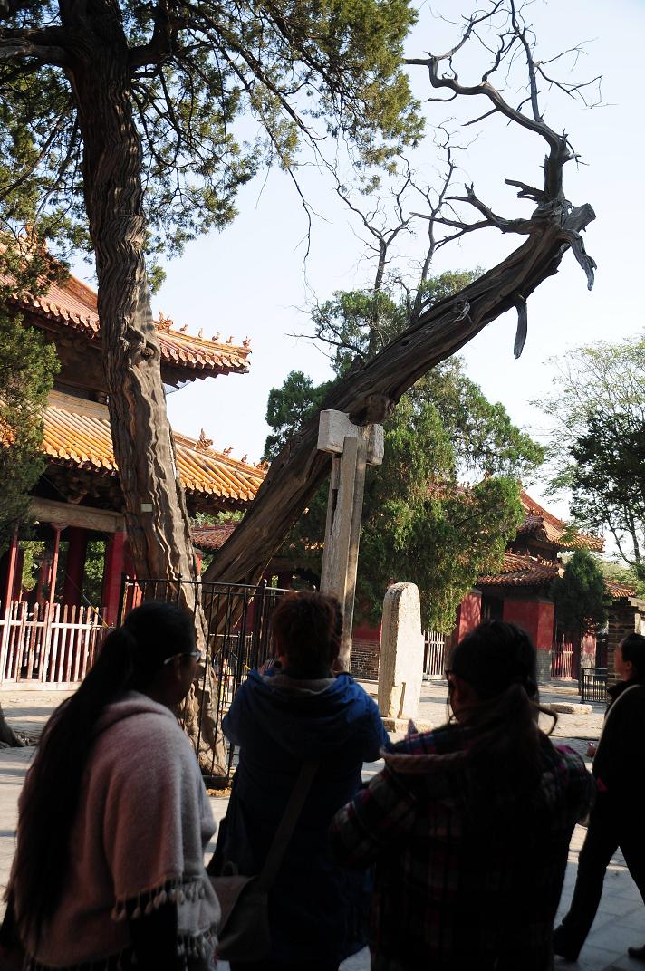 古建筑与“成语”