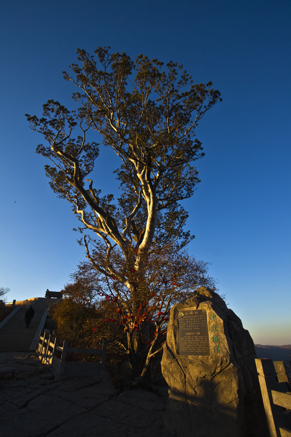 神农山〔极顶〕