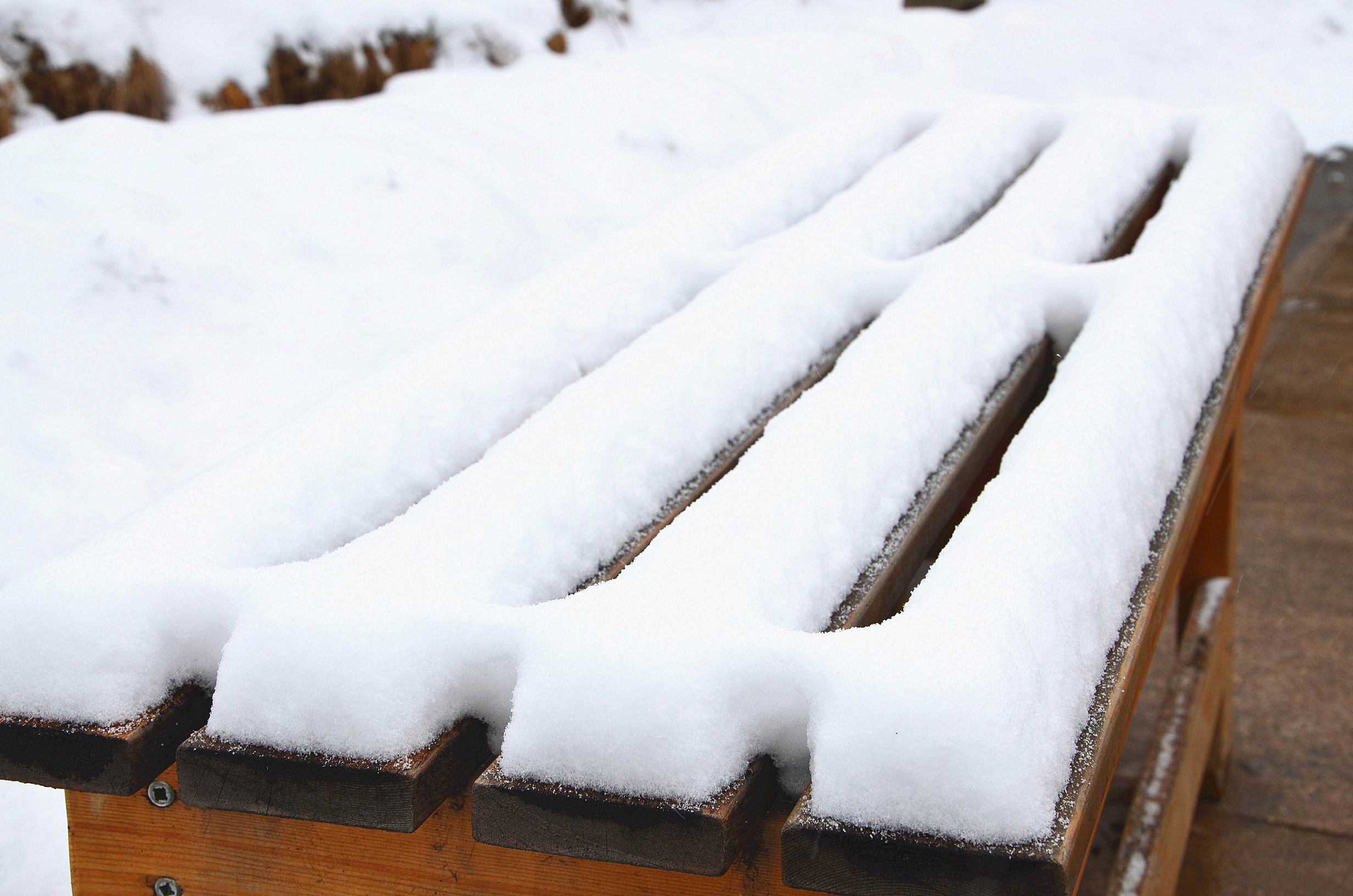 久违的雪