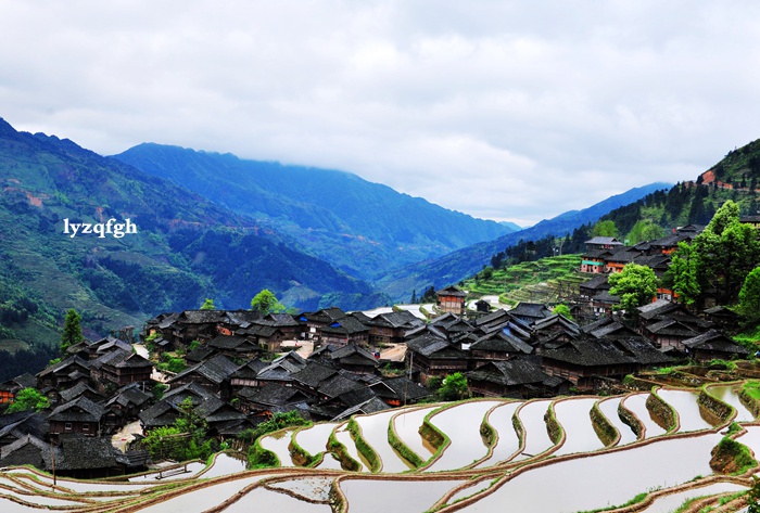 云上梯田