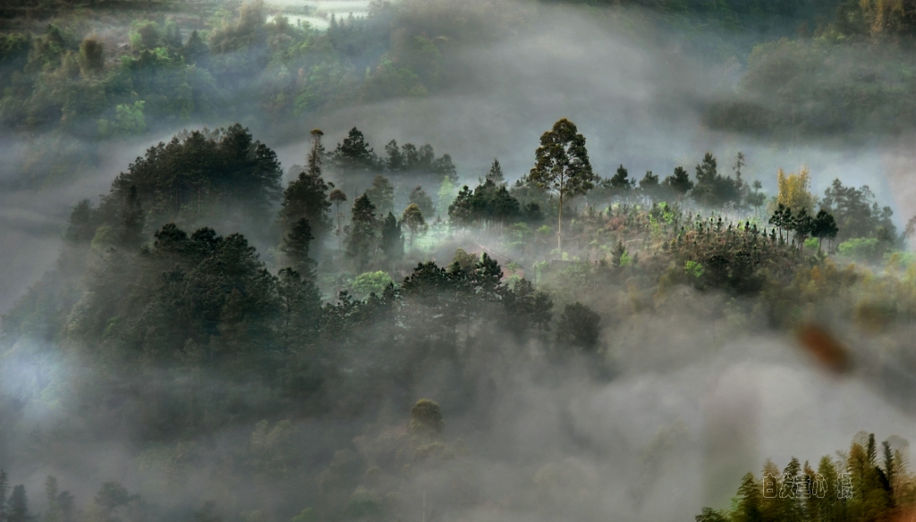 DSC_3204副本_conew1.jpg