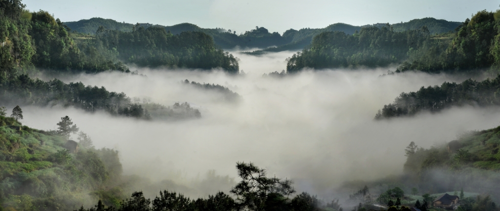 DSC_3286副本小图_conew1.jpg