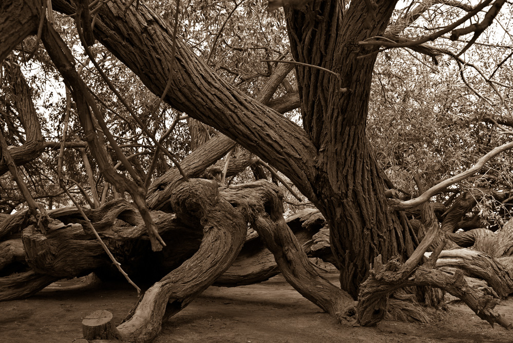 DSC_0069.jpg