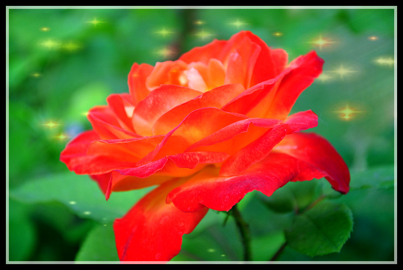 DSC_0233.jpg