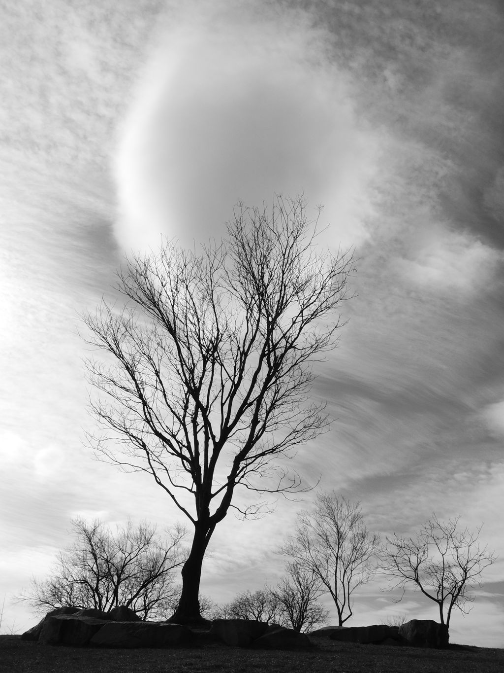 DSCN7153.JPG