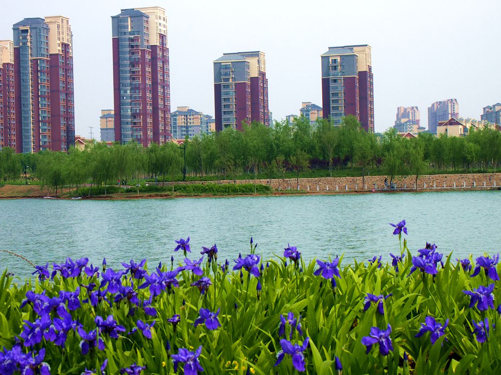 开封西湖景色2_副本.jpg