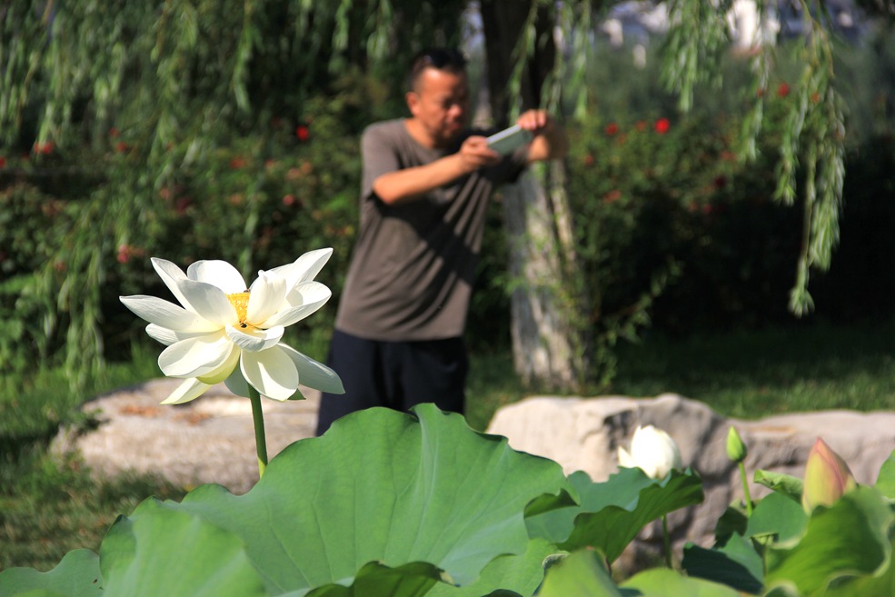 IMG_7704_副本.jpg