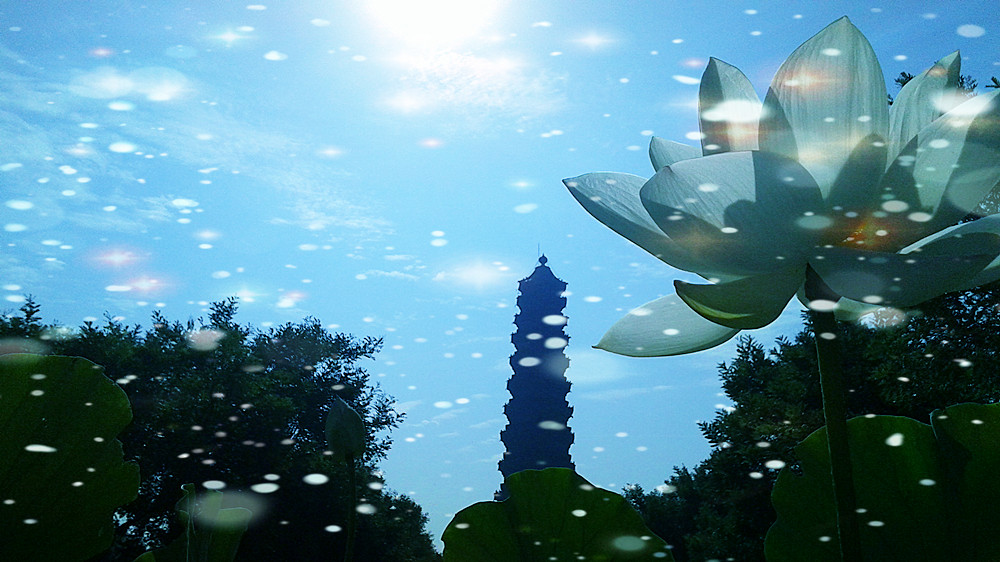 比高-2.jpg