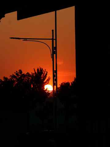 IMG_9469.JPG