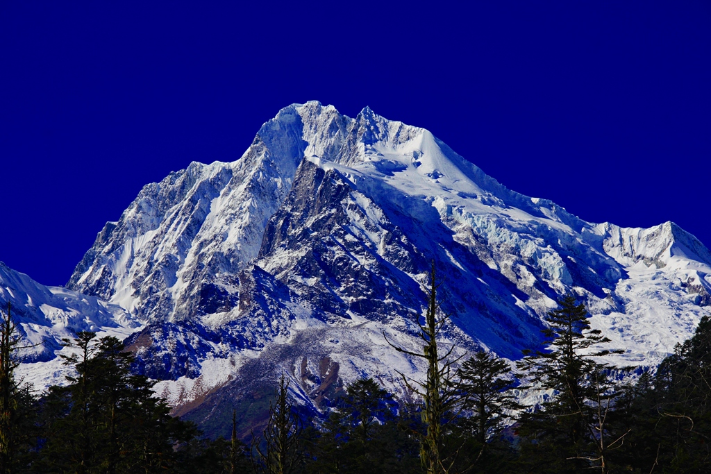_MG_7309.JPG