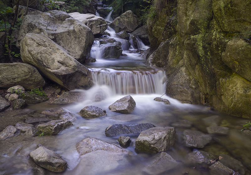 _DSC3745-1-0.jpg