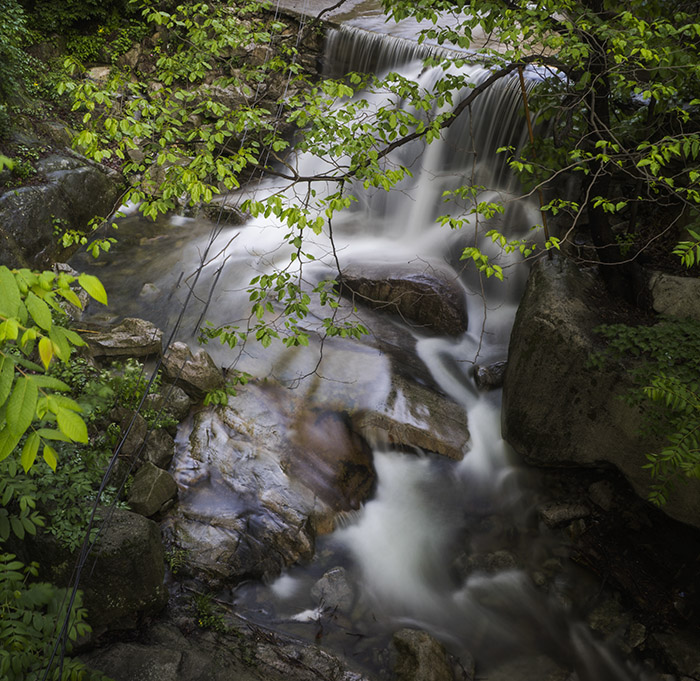 _DSC3723-1-0.jpg