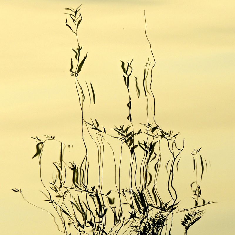 DSCN6158.JPG