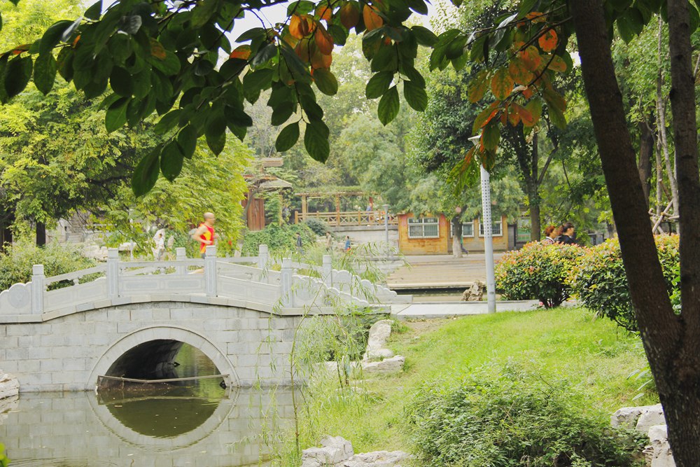 _MG_9703.JPG