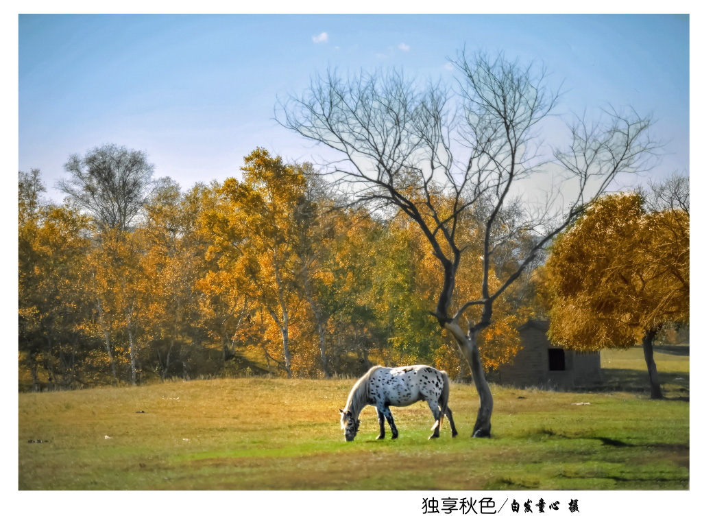 独享秋色_小图_1.JPG