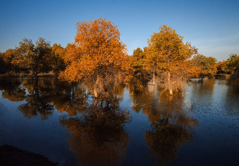 _DSC6448-1-0.jpg