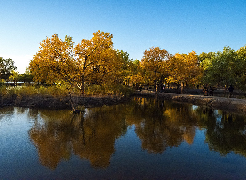 _DSC6451-1-0.jpg