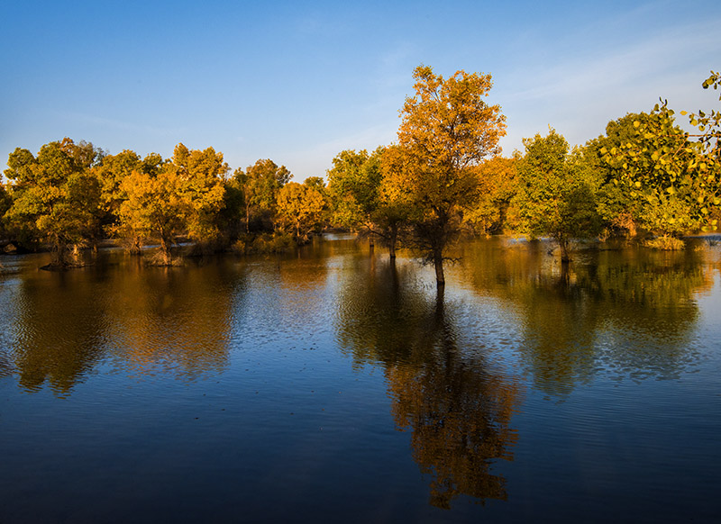 _DSC6458-1-0.jpg