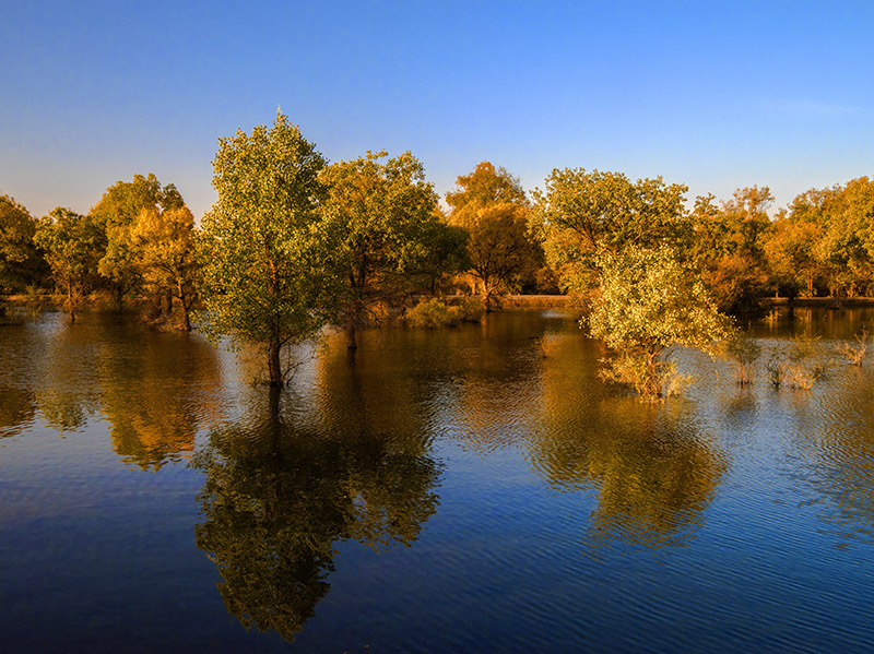 _DSC6466-1-0.jpg