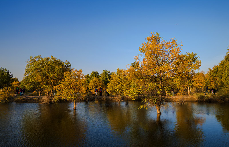 _DSC6476-1-0.jpg