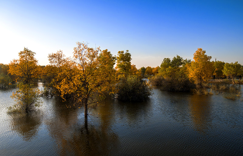 _DSC6477-1-0.jpg