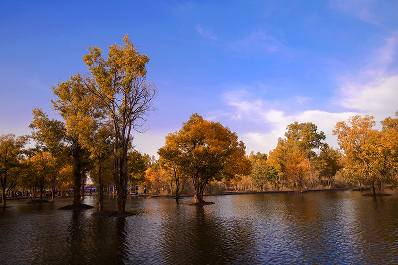 _DSC6513-1-0.jpg