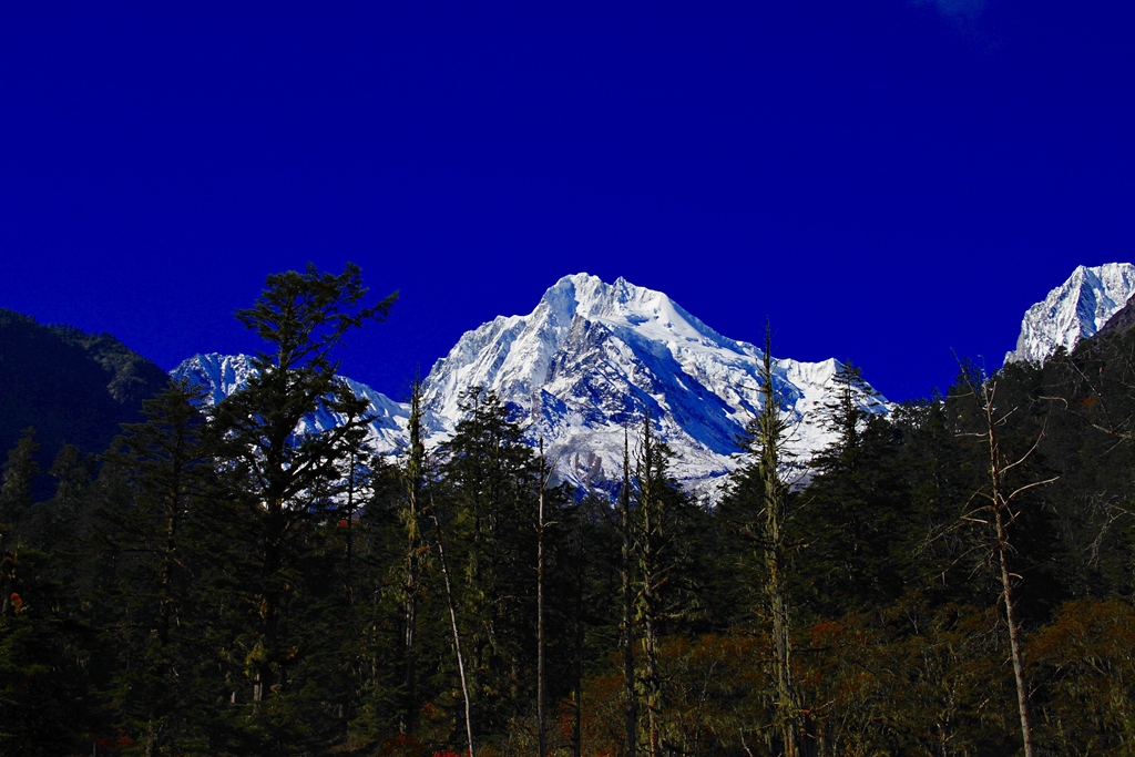 _MG_7299.JPG